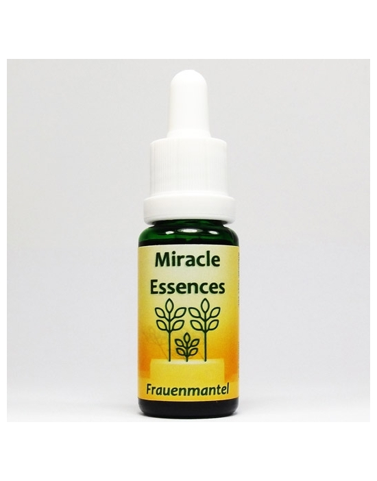 Frauenmantel Miracle Essences Blütenessenzen Alchemilla vulgaris