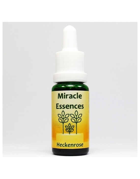 Essenze floreali Rosa corymbifera selvatica Miracle Essences
