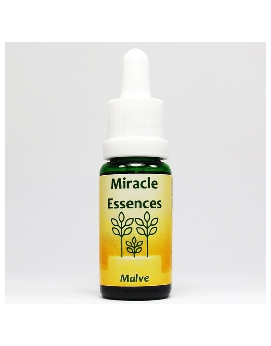 Malve Miracle Essences Blütenessenzen Malva sylvestris