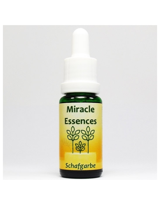 YARROW Miracle Essences flower essences Achillea millefolium