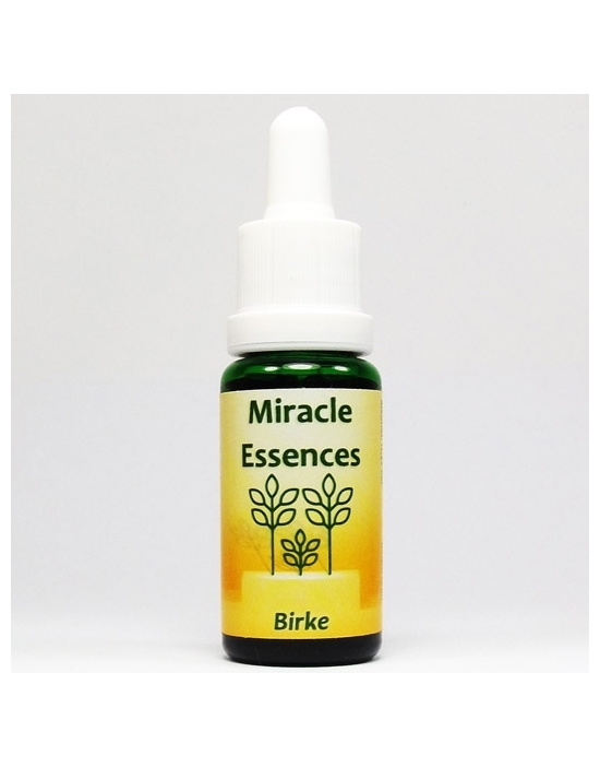 Birke Miracle Essences Blütenessenzen Betula pendula