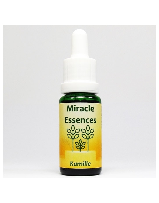 CHAMOMILE Miracle Essences flower essences Matricaria chamomilla