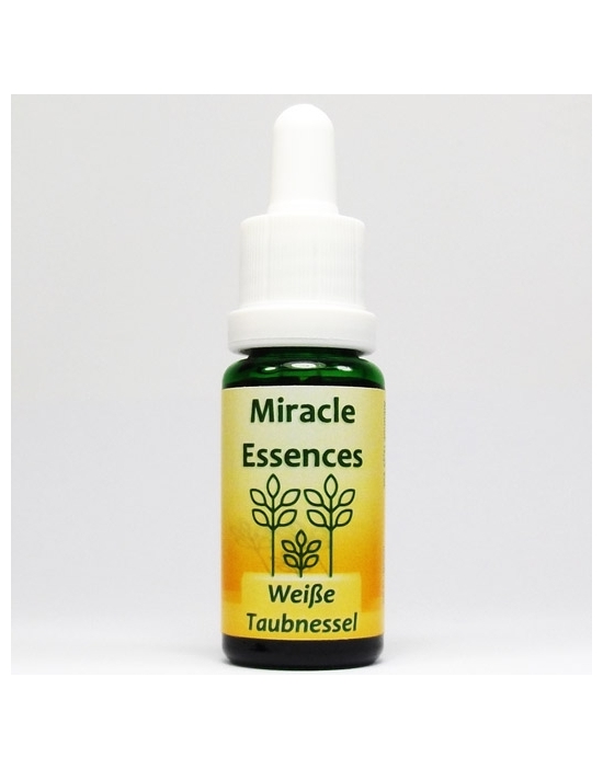 WHITE DEADNETTLE Miracle Essences flower essences Lamium album