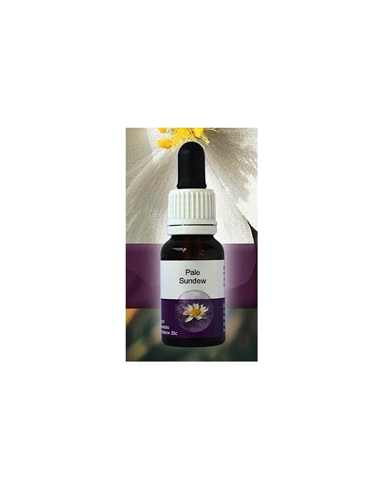 Pale Sundew Living Essences Stockbottle 15 ml