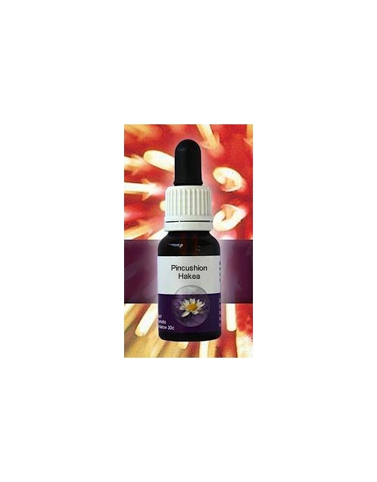 Pinkcushion Hakea Living Essences Stockbottle 15 ml Fiori Australiani