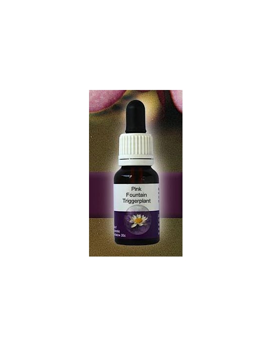 Pink Fountain Triggerplant Living Essences Stockbottle 15 ml Australische Buschblüten