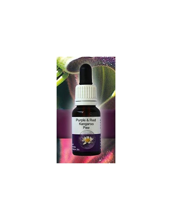 Purple and Red Kangaroo Paw Living Essences Stockbottle 15 ml