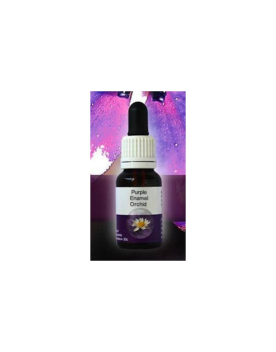 Purple Enamel Orchid Living Essences Stockbottle 15 ml Australische Buschblüten