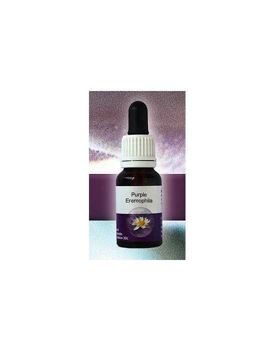 Purple Eremophila Living Essences Stockbottle 15 ml