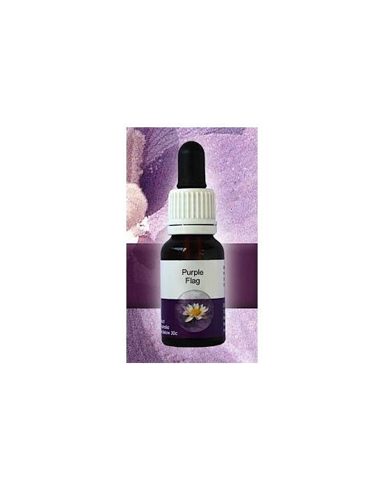 Purple Flag Flower Living Essences Stockbottle 15 ml