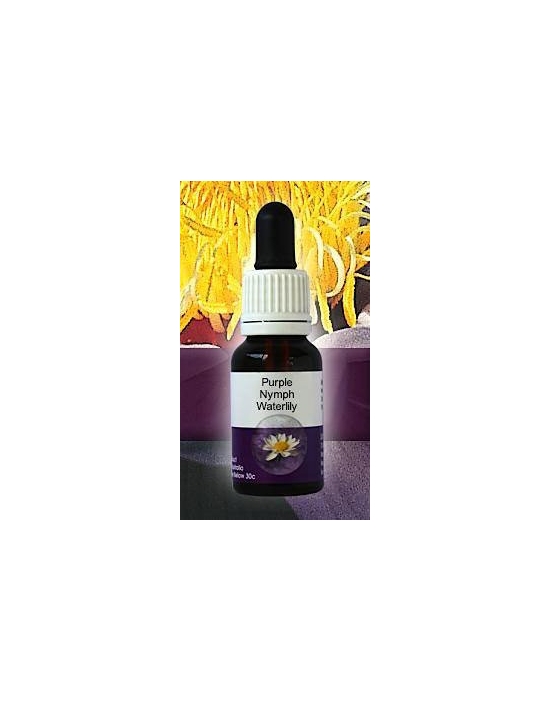 Purple Nymph Waterlily Living Essences Stockbottle 15 ml Australische Buschblüten