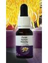 Purple Nymph Waterlily Living Essences Stockbottle 15 ml