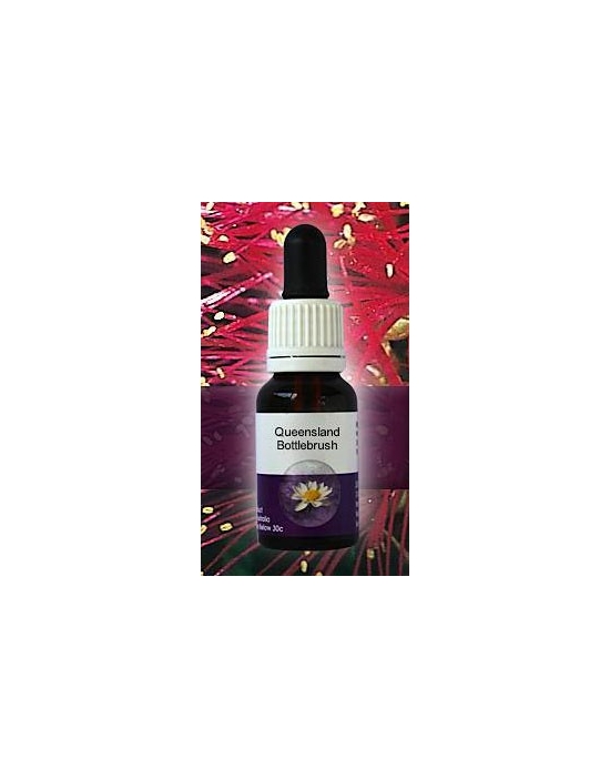 Queensland Bottlebrush Living Essences Stockbottle 15 ml