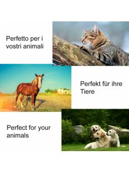 Bach Flower drops for animals