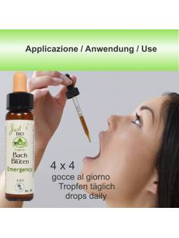 Bach flower drops use white chestnut