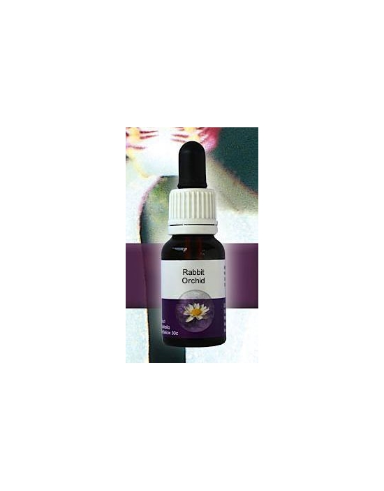 Rabbit Orchid Living Essences Stockbottle 15 ml Australische Buschblüten