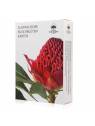 Carte Australian Bush Flower Essences tedesco