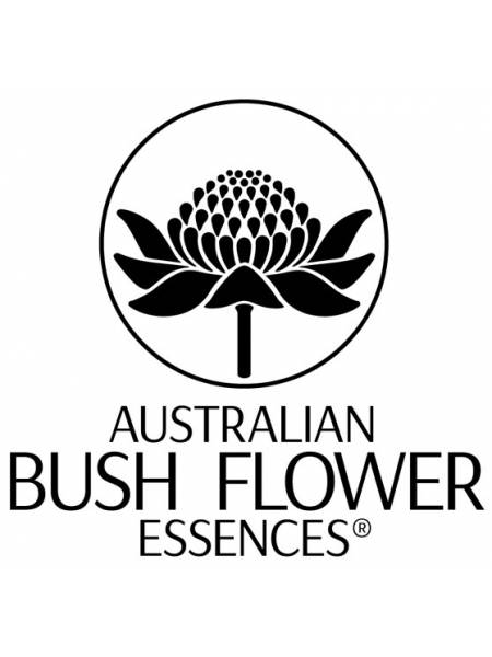 Australian Bush Flower Essences booklet German