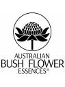 Australische Buschblüten Essenzen Taschenbuch