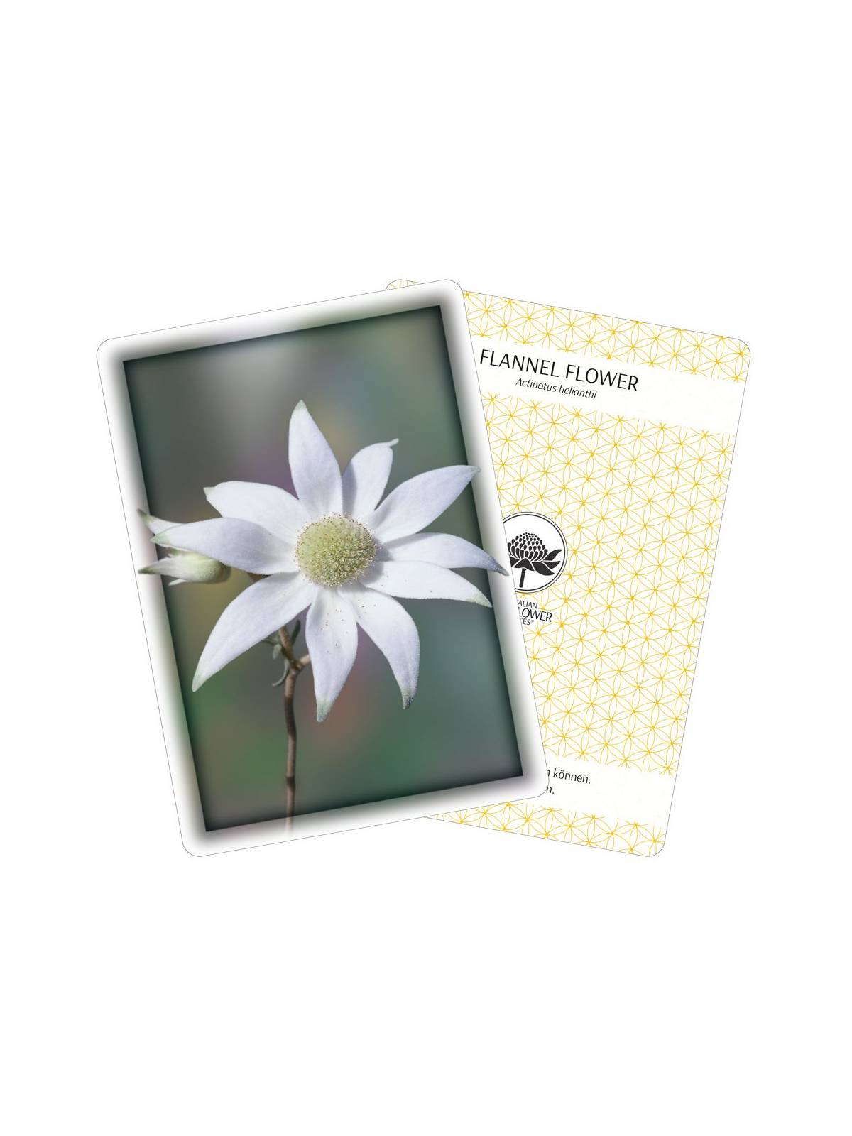 Cards + booklet Australian Bush Flower Essences