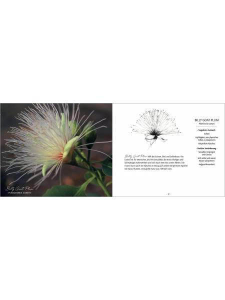 Carte + libretto Australian Bush Flower Essences tedesco