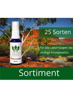Sortiment Buschblüten Vitalsprays