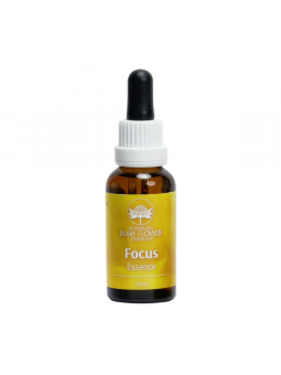Focus Essence 30 ml  Australische Buschblüten Kombinationen Konzentration