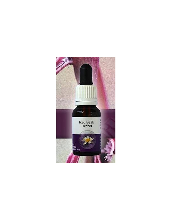 Red Beak OrchidLiving Essences Stockbottle 15 ml Fiori Australiani