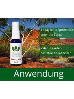 Applicazione fiori australiani essenze combinate