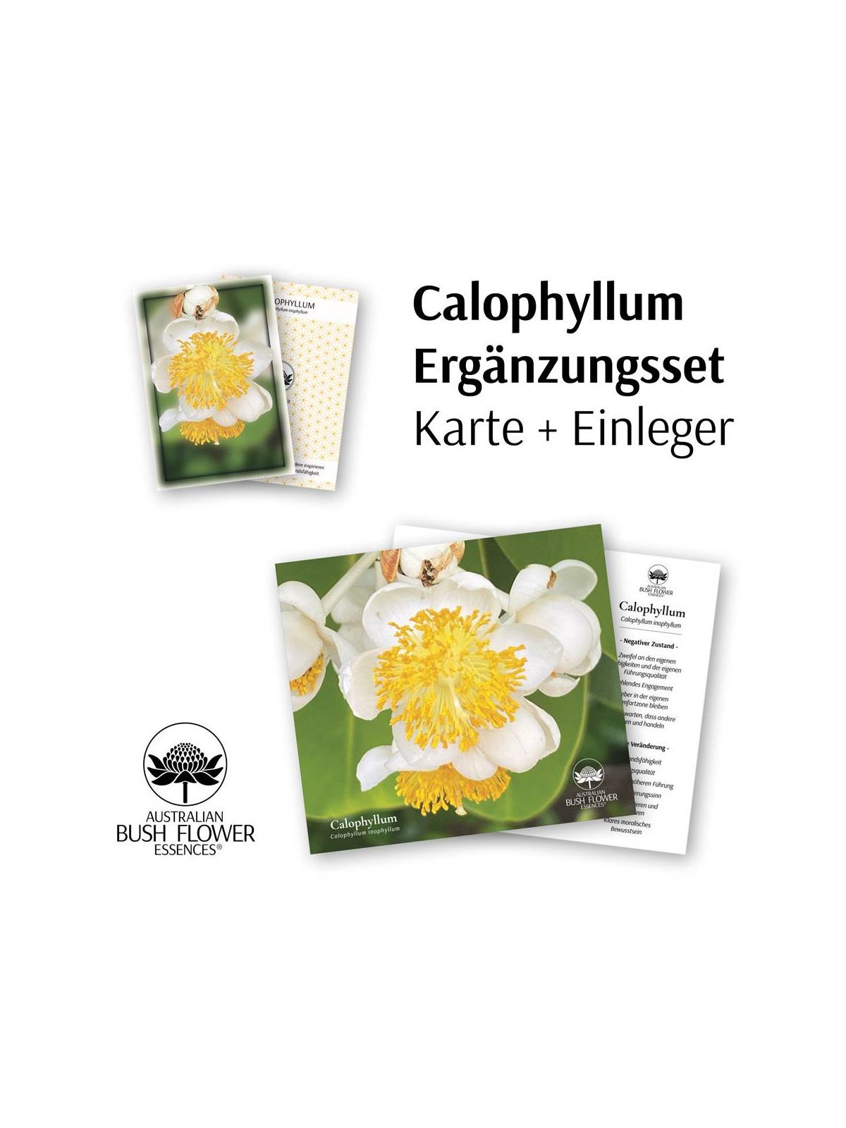 calophyllum ergänzung karte und taschenbuch beilage