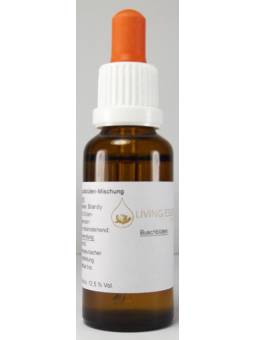 individuelle Buschblüten Mischung Living Essences