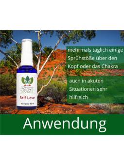 Buschblüten Aurasprays Anwendung