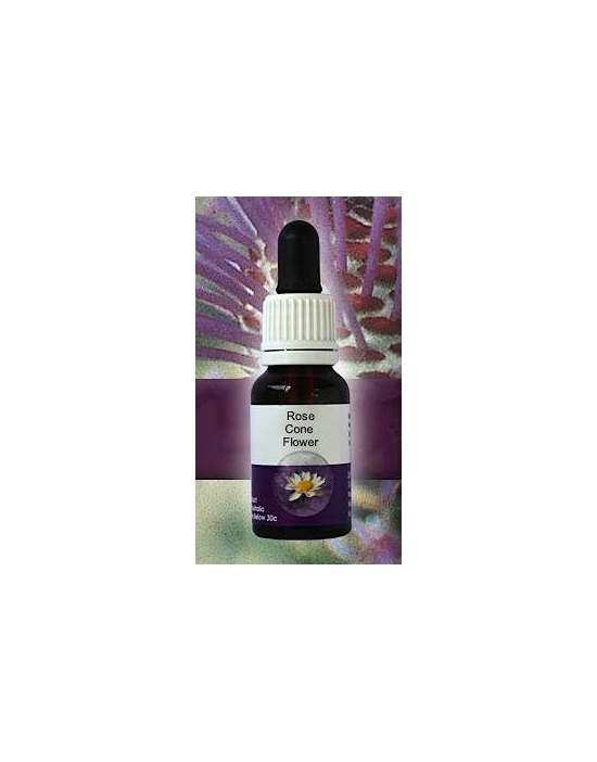 Rose Cone Flower Living Essences Stockbottle 15 ml Australische Buschblüten