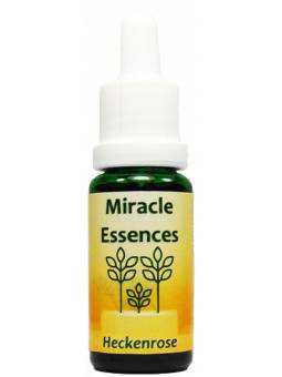Flower Essence Wild Rose Miracle Esseces