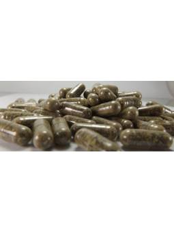 Seaweed Ascophyllum nodosum capsules