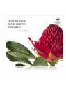 booklet Australian Bush Flower Essences by Ian White