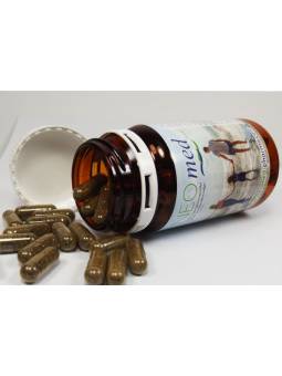 Algenkapseln Neomed Meeresbraunalgen