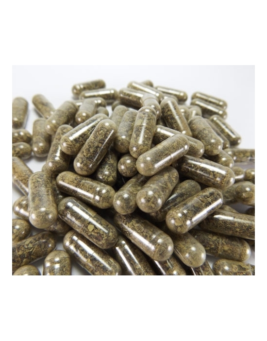 Ascophyllum nodosum NEOMED Capsule di alghe marroni