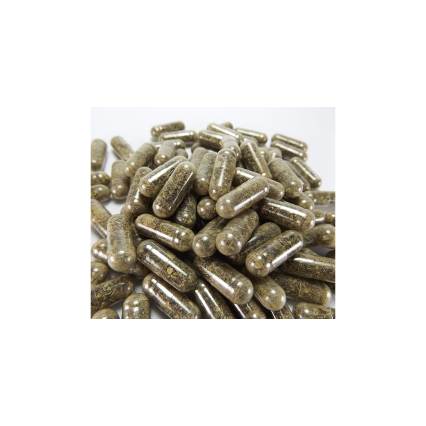 Ascophyllum nodosum NEOMED Capsule di alghe marroni