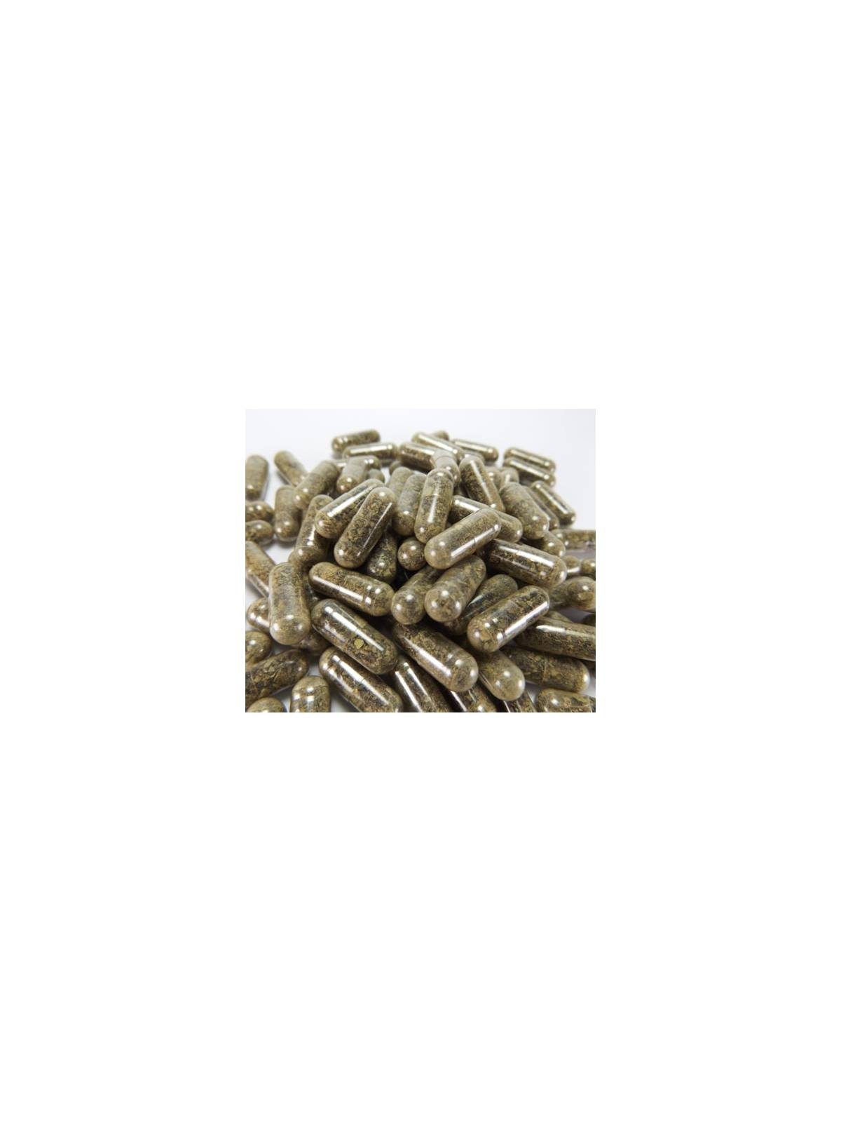 Ascophyllum nodosum Neomed Brown Seaweed capsules 100