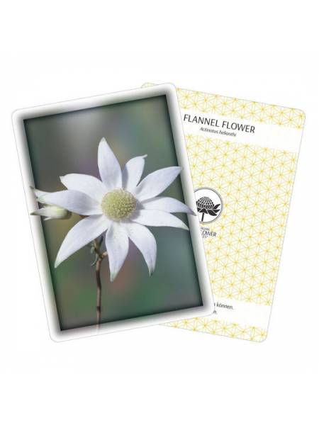 Carte Australian Bush Flower Essences tedesco