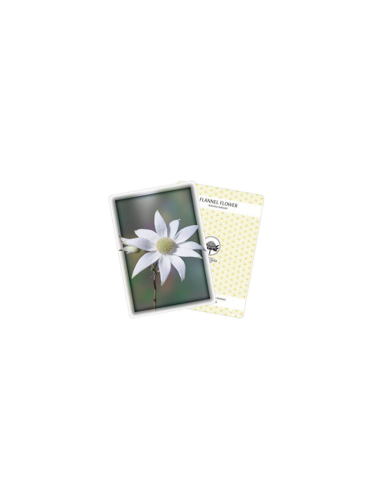 Carte Australian Bush Flower Essences tedesco