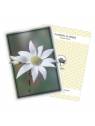 Carte Australian Bush Flower Essences tedesco