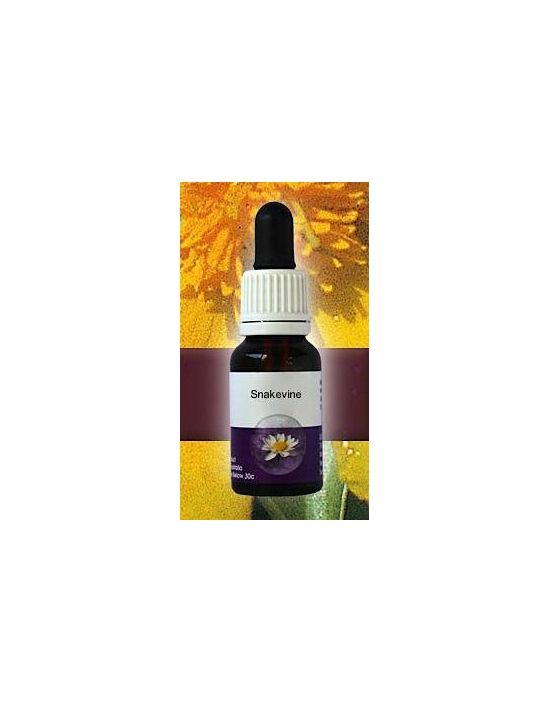 Snakevine Living Essences Stockbottle 15 ml Australische Buschblüten