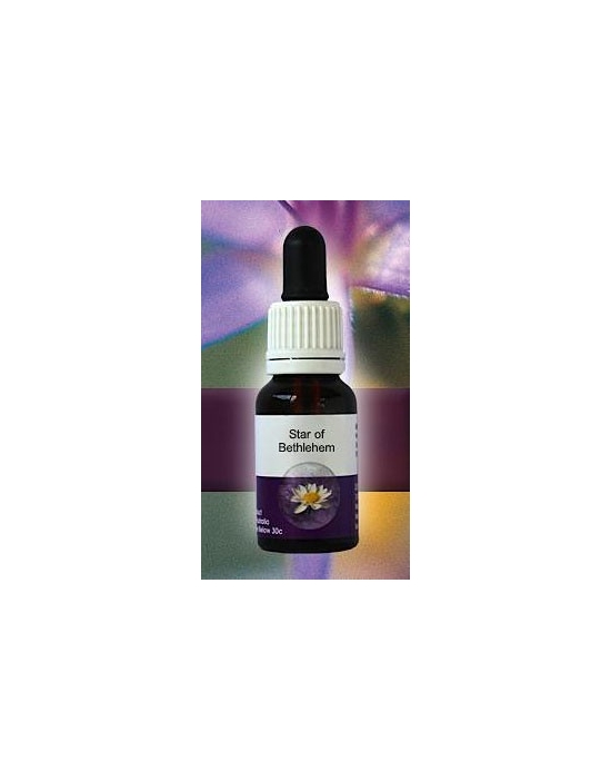 Star of Bethlehem Living Essences Stockbottle 15 ml Australische Buschblüten