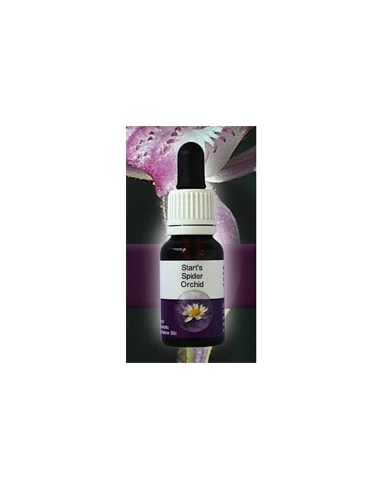 Start's Spider Orchid Living Essences Stockbottle 15 ml Australische Buschblüten