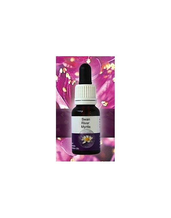 Swan River Myrtle Living Essences Stockbottle 15 ml Australische Buschblüten
