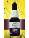 Urchin Dryandra Living Essences Stockbottle 15 ml