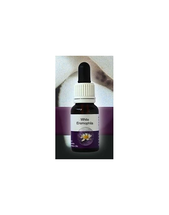 White Eremopholia Living Essences Stockbottle 15 ml Australische Buschblüten