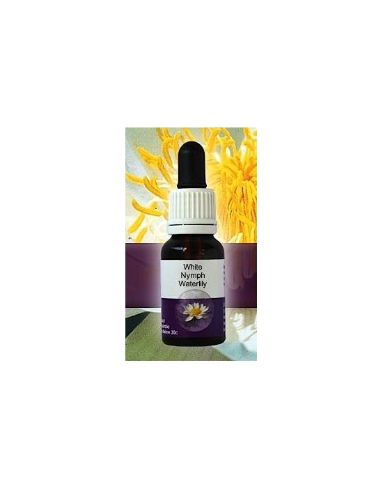 White Nymph Waterlily Living Essences Stockbottle 15 ml Australische Bachblüten